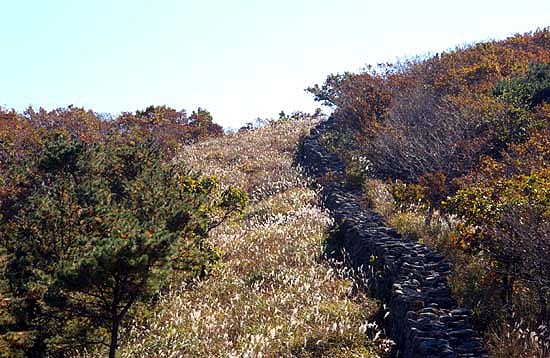 금정산정 돌벽과 나란한 억새가 가을 길을 걸어보라고 유혹하는 듯 하다. 